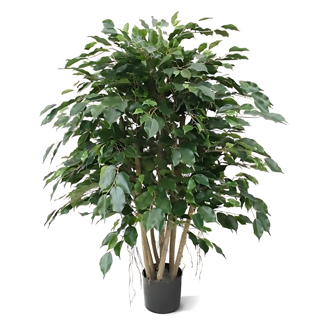 Planta Artificial Ficus Exótica XL 110 Cm