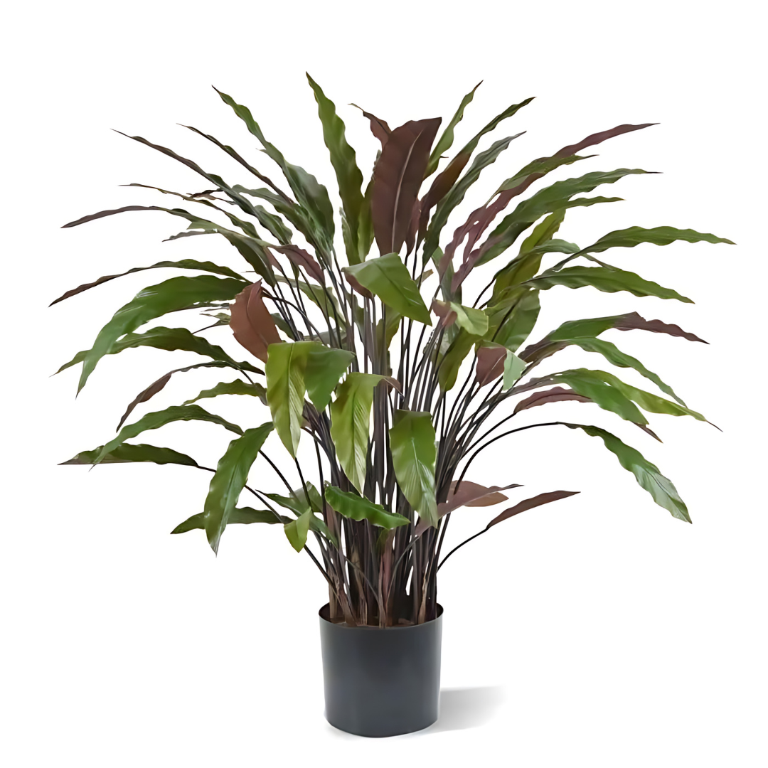 Planta Artificial Calathea 80 Cm - Verde/Vermelho