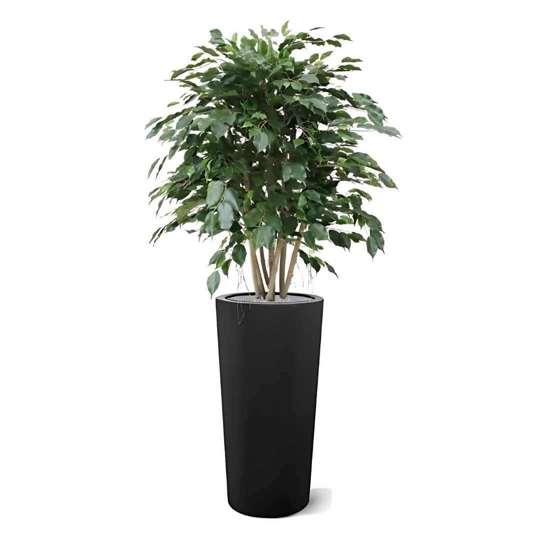 Planta artificial exótica ficus xl 110 cm