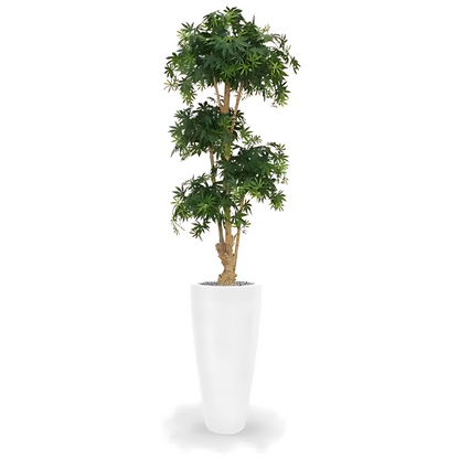 Bonsai Acer Deluxe Verde Borgoña 170 Cm