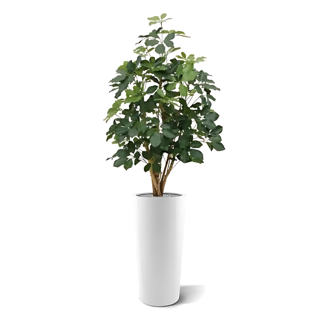 Árvore Artificial Schefflera Exótica 120 Cm C/ Retardante de Fogo