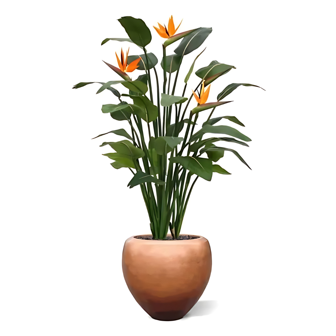 Planta Artificial Strelitzia Luxo 140 Cm