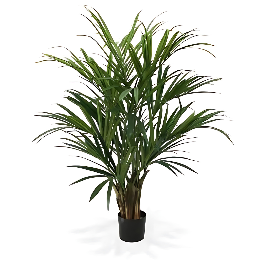 Palmeira Artificial Kentia Deluxe XL 140 cm