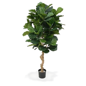 Planta Artificial Ficus Lyrata Deluxe 155 Cm