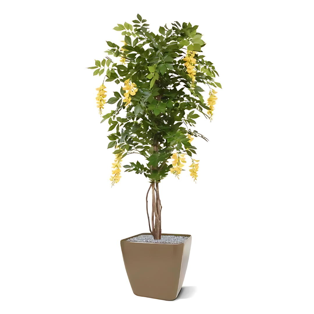 Árvore Artificial Glicínias Gold Rain Amarelo 150 Cm