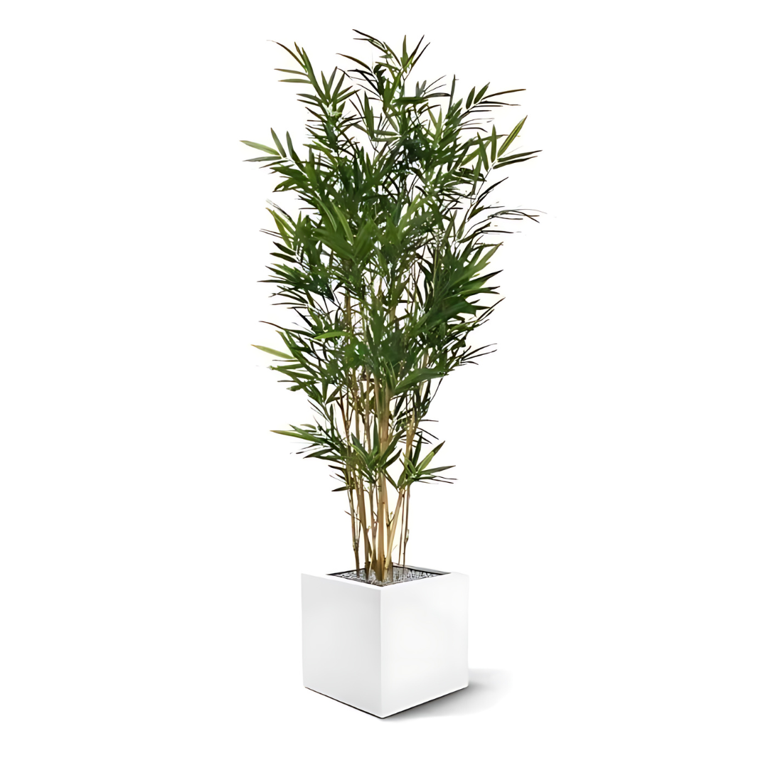 Árbol artificial de bambú real de 150 cm verde