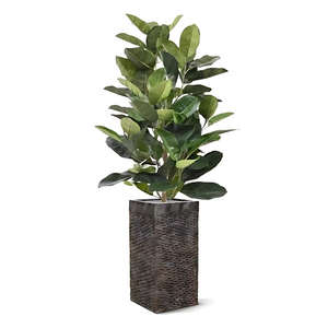 Planta Artificial Ficus Elástica Verde 120 Cm