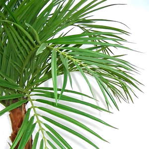 Palmeira Artificial Areca C/ Tronco de Madeira Real 110 Cm