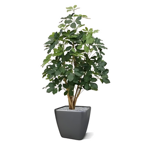 Árvore Artificial Schefflera Exótica 120 Cm C/ Retardante de Fogo