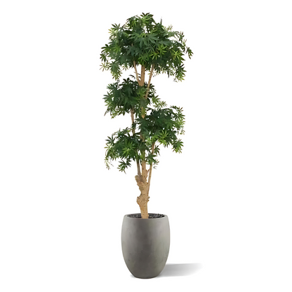Bonsai Acer Deluxe Verde Borgoña 170 Cm