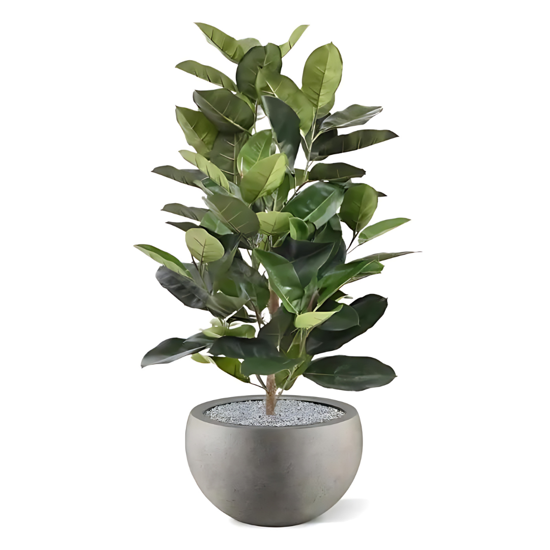 Planta Artificial Ficus Elástica Verde 120 Cm