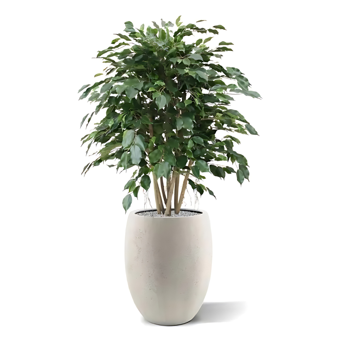 Planta artificial exótica ficus xl 110 cm