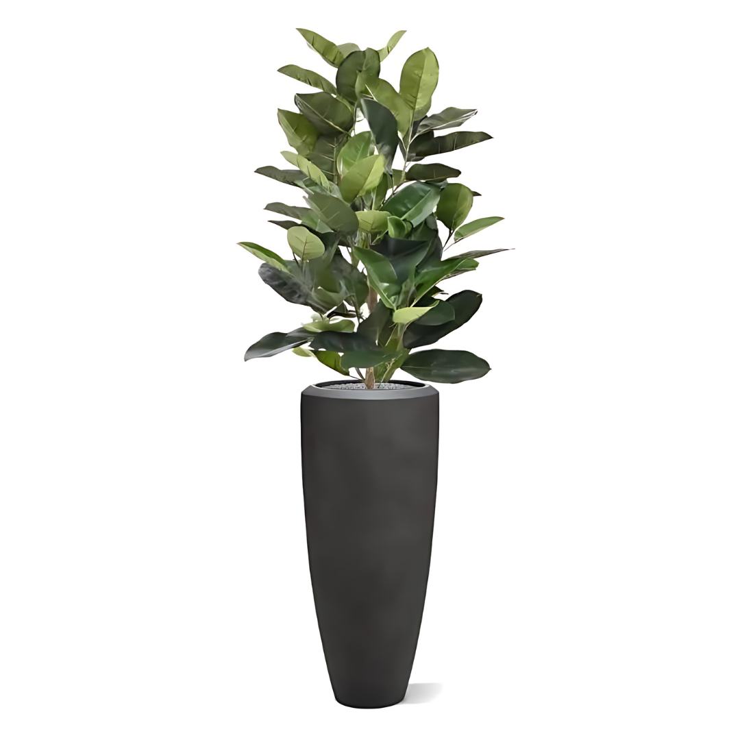 Planta Artificial Ficus Elástica Verde 120 Cm