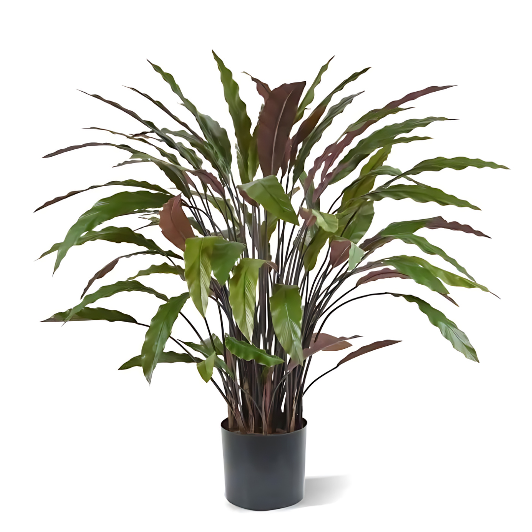 Planta Artificial Calathea  80 Cm - Verde/Vermelho