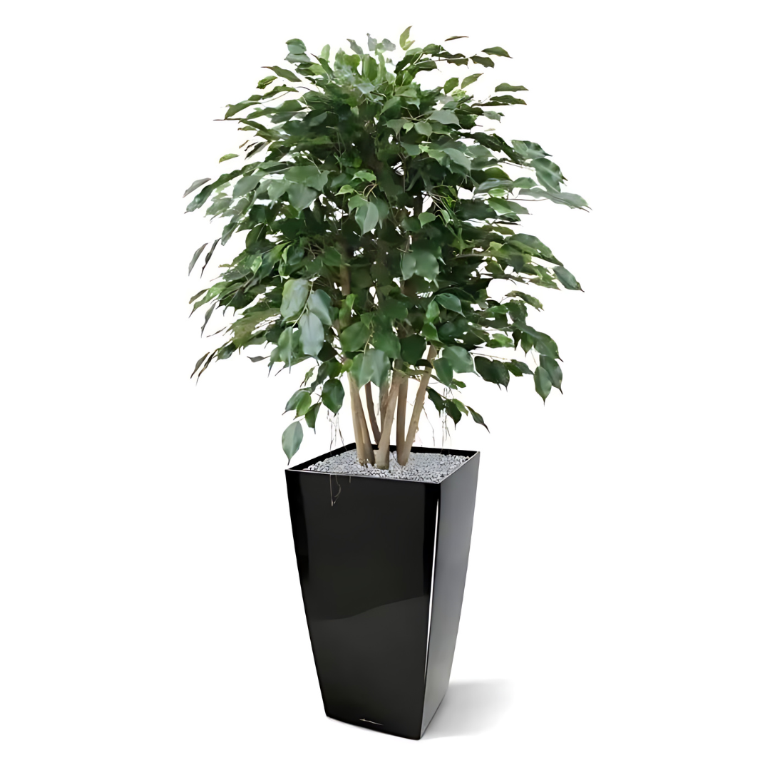 Planta artificial exótica ficus xl 110 cm