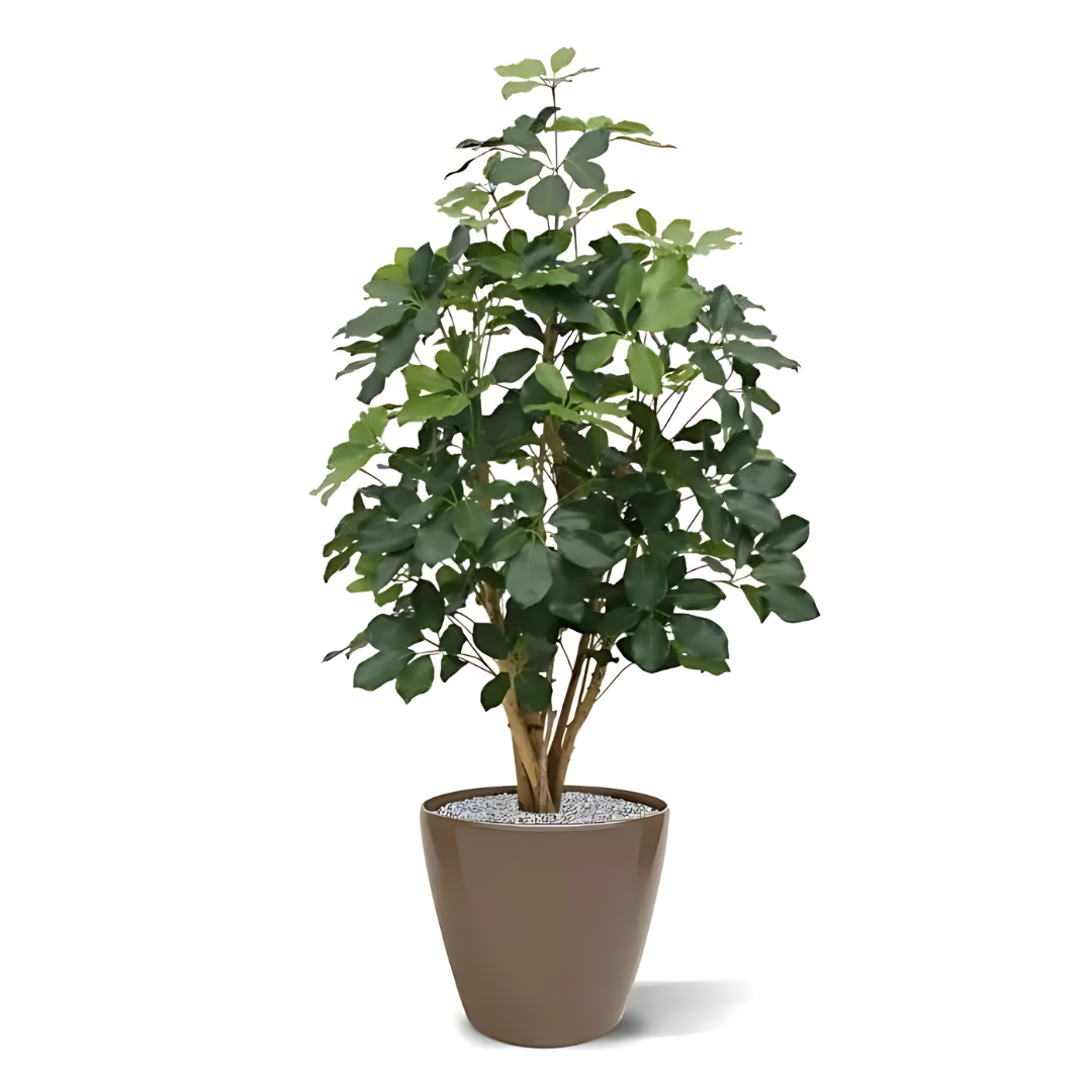 Árvore Artificial Schefflera Exótica 120 Cm C/ Retardante de Fogo