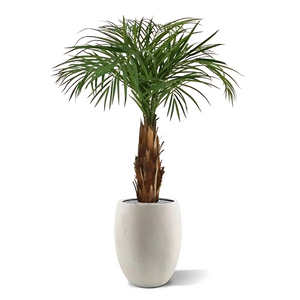 Palmeira Artificial Areca C/ Tronco de Madeira Real 110 Cm